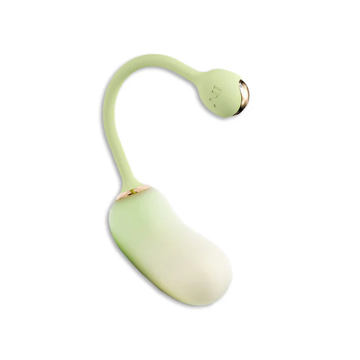 Bean-shaped Vibrator For Women Wearable Clitoral Orgasm Masturbator