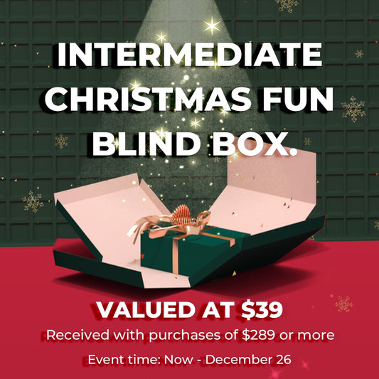 Intermediate Christmas Fun Blind Box