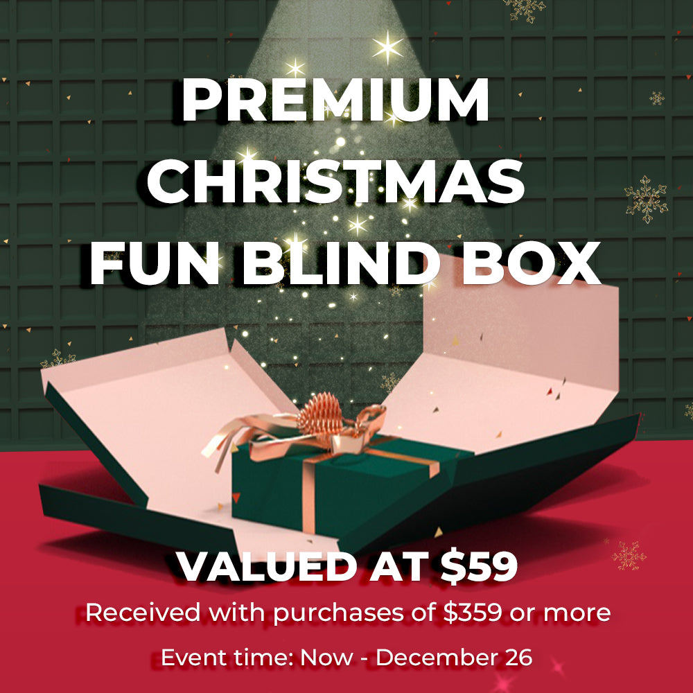 Premium Christmas Fun Blind Box